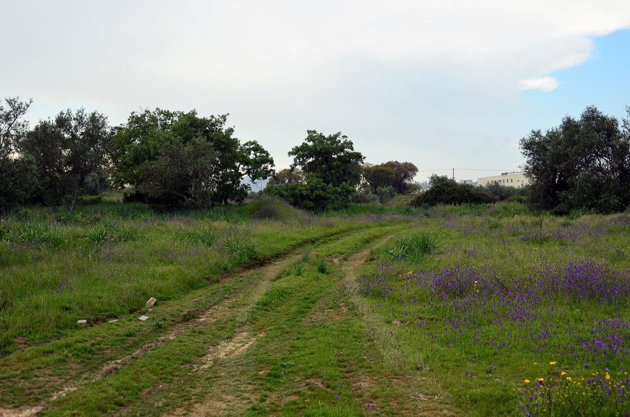Hotel Rm Newhost 2015 / Casadochico Portalegre Esterno foto
